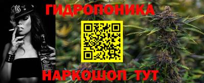 сатива Краснокаменск