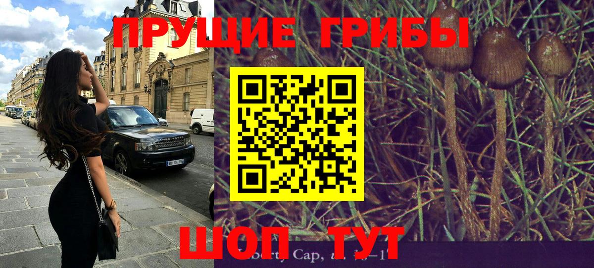 Галлюциногенные грибы Magic Shrooms  Вход с VPN  Кириши 