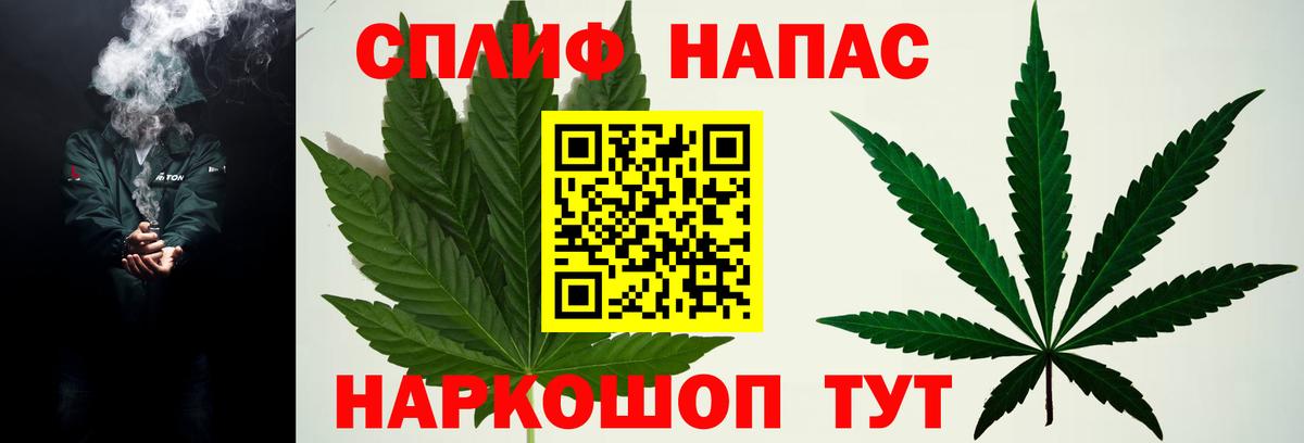 Конопля конопля Кириши